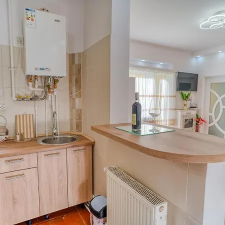 Apartment Suvenir Chic - Fusion Of Modern Elegance & Harmony Bukarest