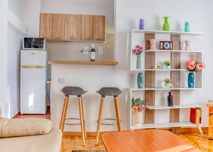 Suvenir Chic - Fusion Of Modern Elegance & Harmony *