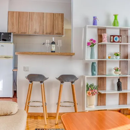 Suvenir Chic - Fusion Of Modern Elegance & Harmony *